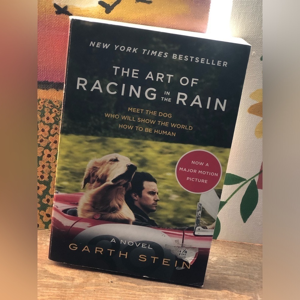 The Art of Racing in the Rain